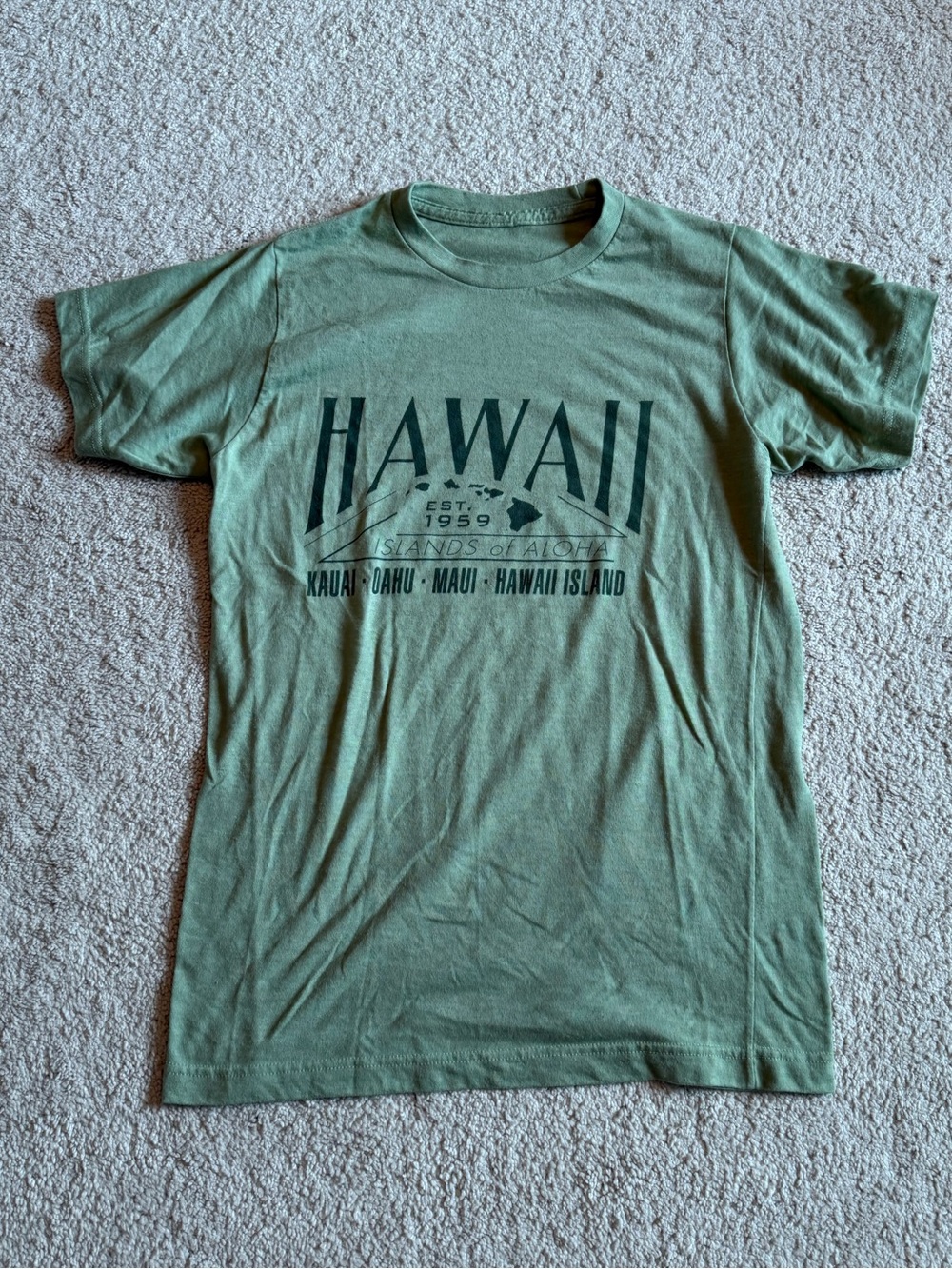 Hawaii Graphic Crewneck T-Shirt - Green